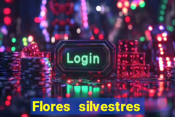 Flores silvestres brasileiras brasileiras flores silvestres nomes e imagens